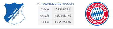 Soi kèo Hoffenheim vs Bayern Munich 21h30 ngày 12/3 Bundesliga