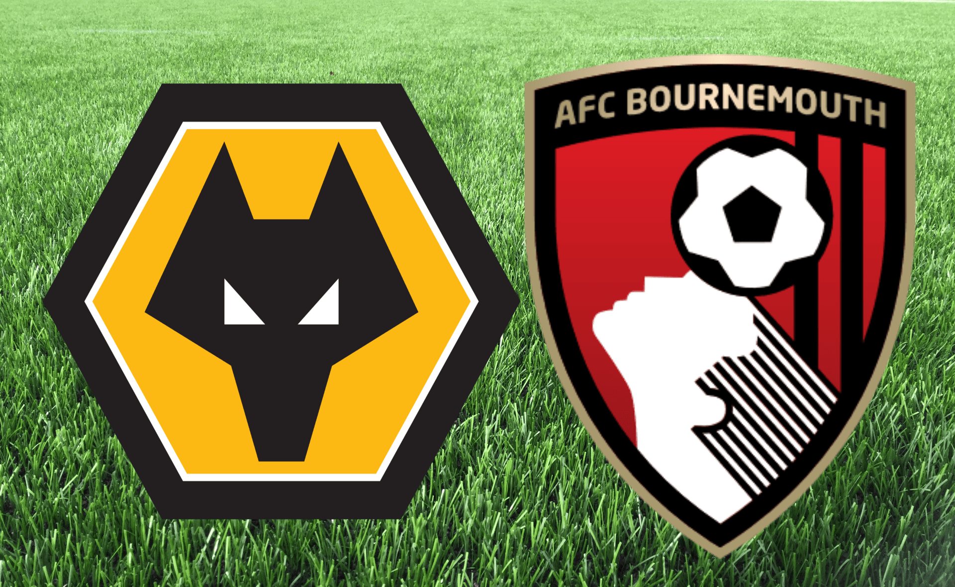 Nhận định bóng đá Bournemouth vs Wolves, 21h00 ngày 21/10: Niềm vui nơi đất khách