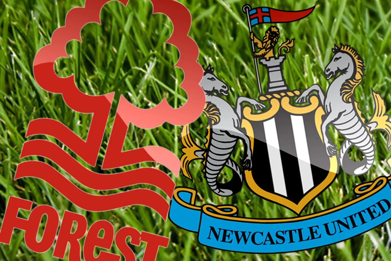 Soi kèo, dự đoán Newcastle vs Nottingham, 19h30 ngày 26/12 - Ngoại Hạng Anh