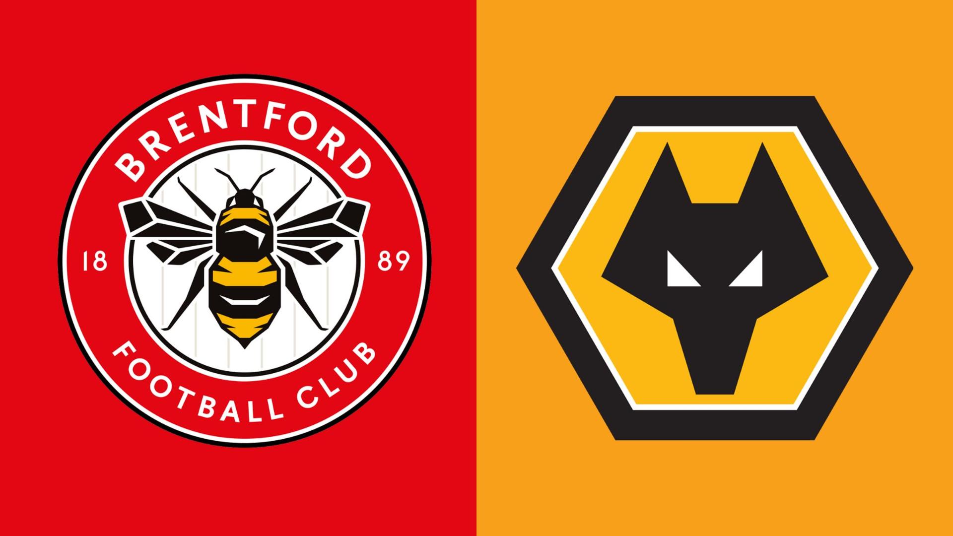 Nhận định bóng đá Wolves vs Brentford, 02h30 ngày 17/1