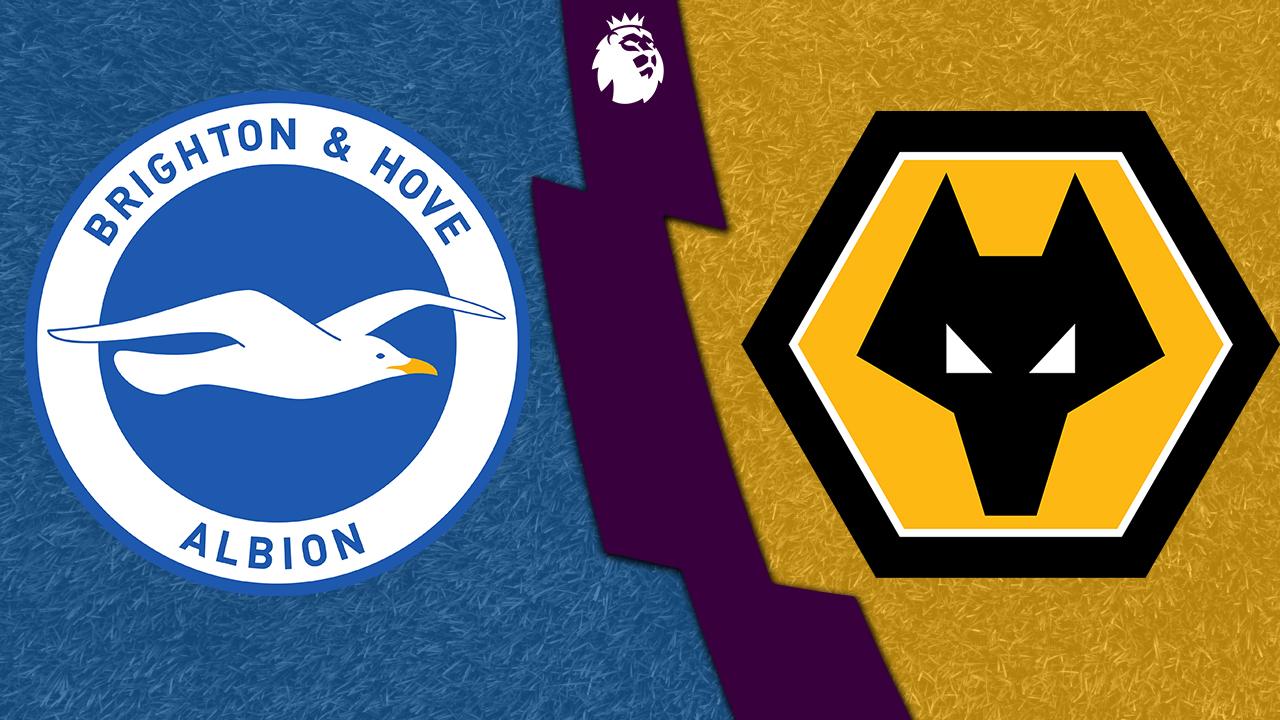 Nhận định bóng đá Brighton vs Wolves, 02h45 ngày 23/1